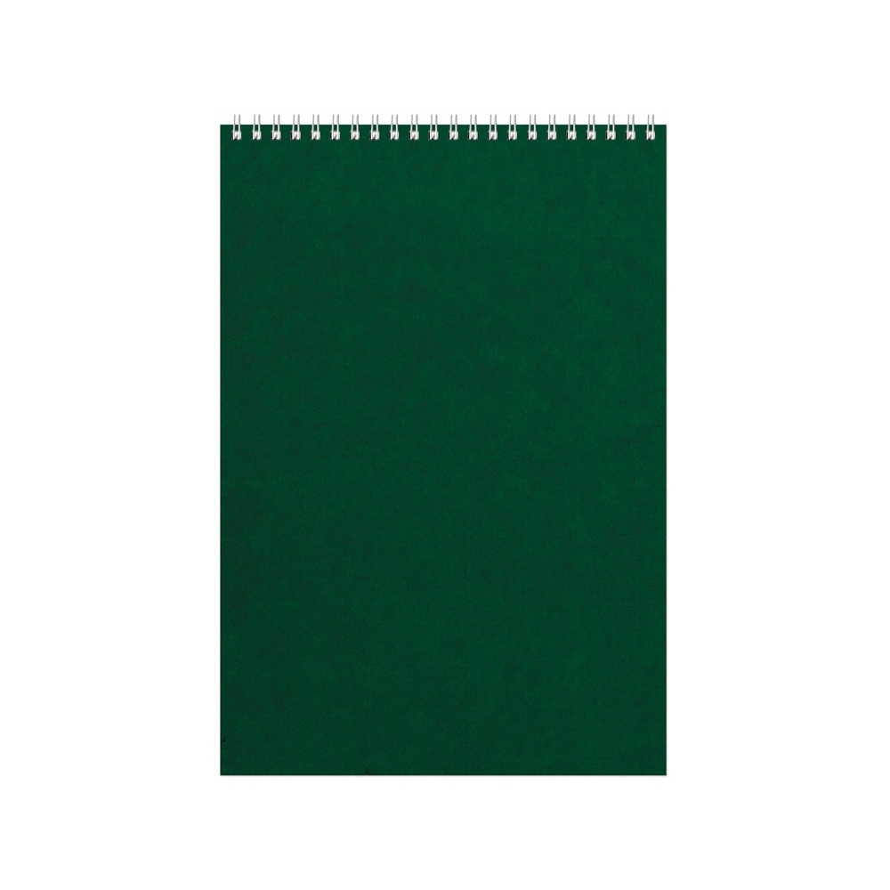 Бизнес - блокнот Альт А4 (198 х 285 мм) "Office" 60 л., зеленый