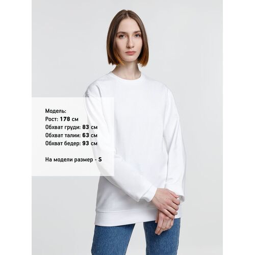 AL-1_038141023XL