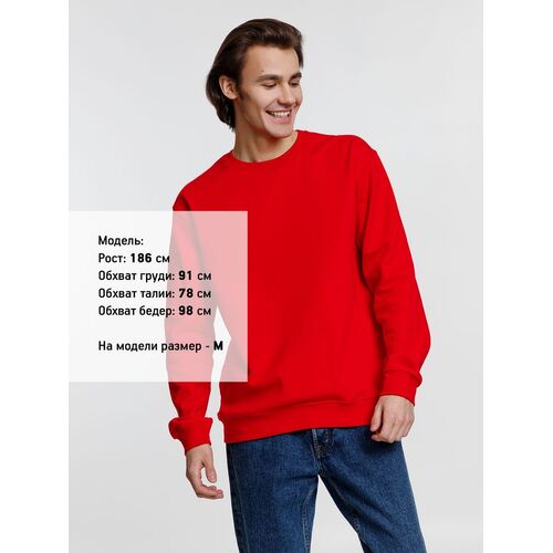 AL-1_038141613XL