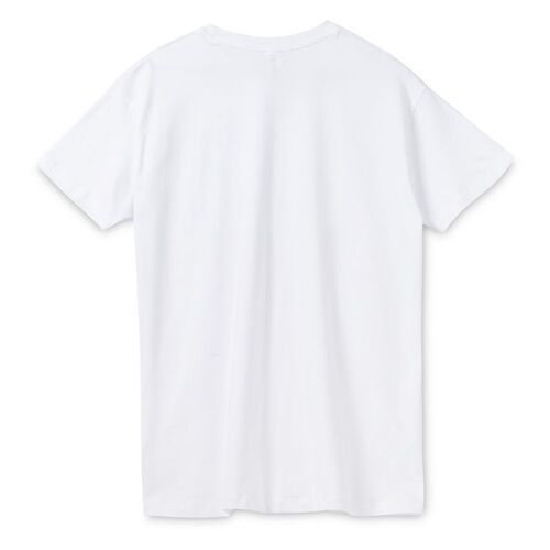 AL-1_1376.600