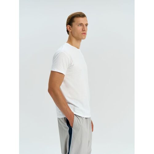 AL-1_1376.600