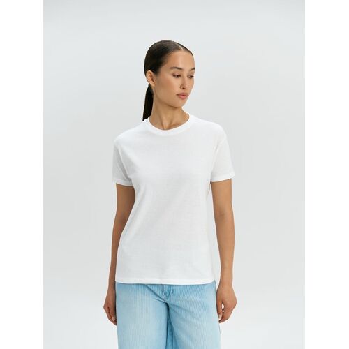 AL-1_1376.600