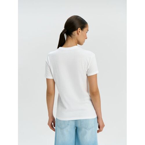 AL-1_1376.600
