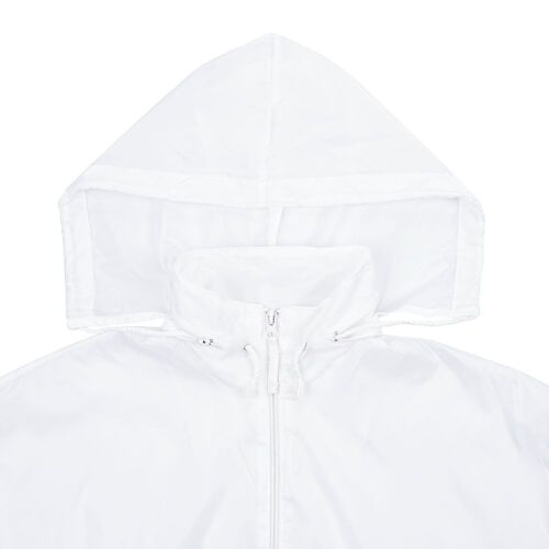 AL-1_1384.600
