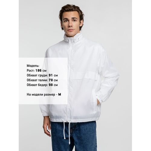 AL-1_1384.600