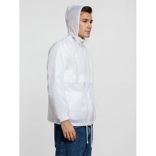 AL-1_1384.600
