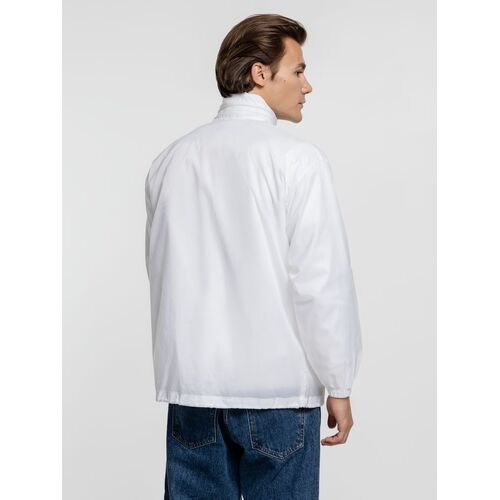 AL-1_1384.600