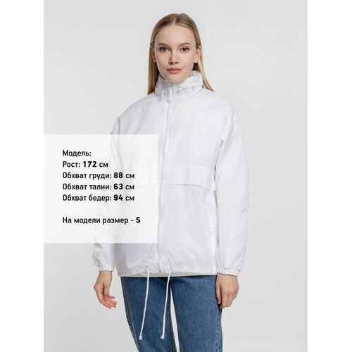 AL-1_1384.600