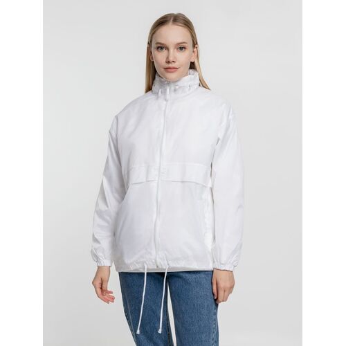 AL-1_1384.600