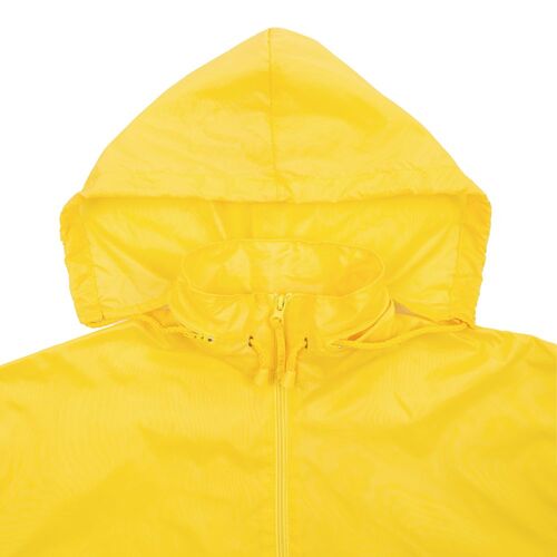AL-1_1384.800