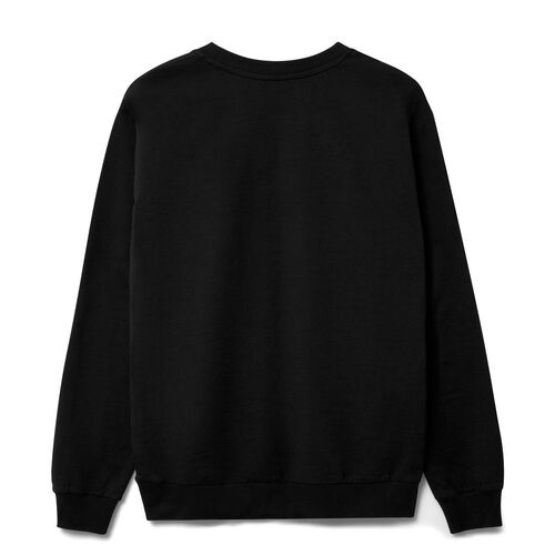 AL-1_16214.300