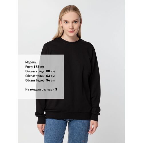 AL-1_16214.300