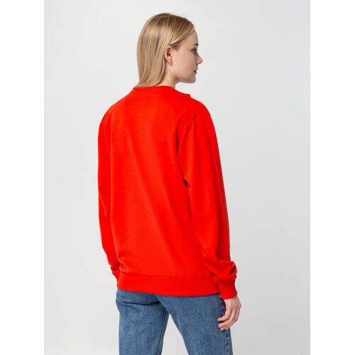 AL-1_16214.500