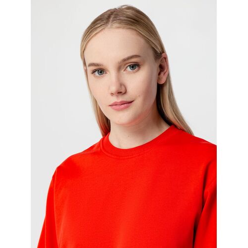 AL-1_16214.500