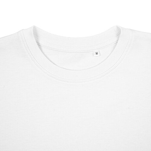 AL-1_16214.600