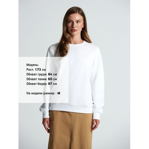 AL-1_16214.600