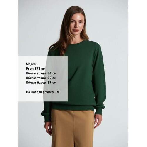 AL-1_16214.900