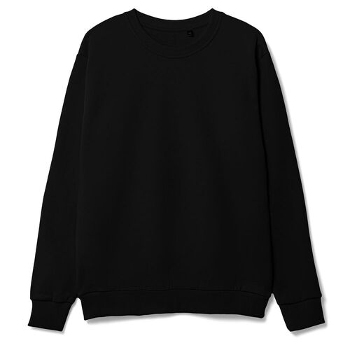 AL-1_16217.300