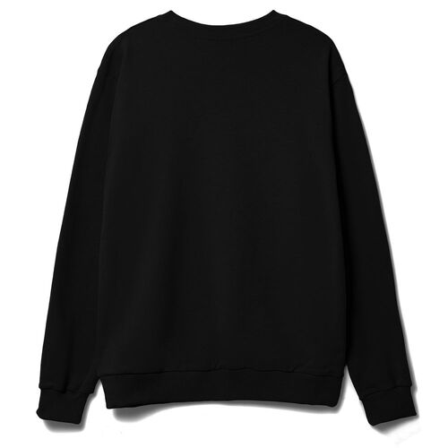 AL-1_16217.300