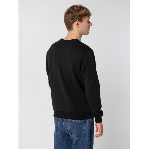 AL-1_16217.300