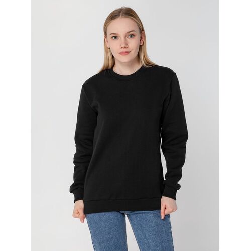 AL-1_16217.300