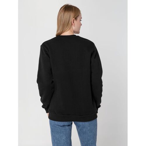 AL-1_16217.300