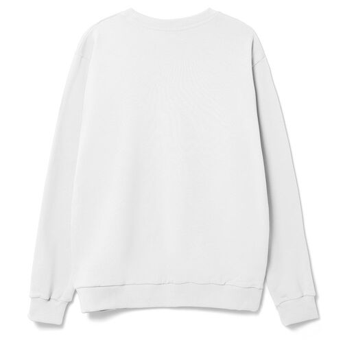 AL-1_16217.600