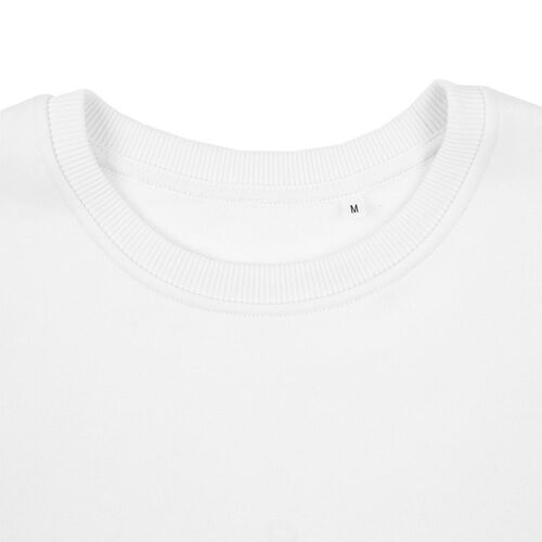 AL-1_16217.600