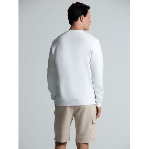 AL-1_16217.600