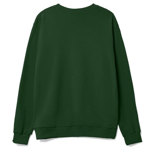 AL-1_16217.900
