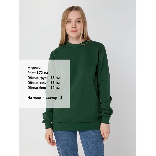 AL-1_16217.900