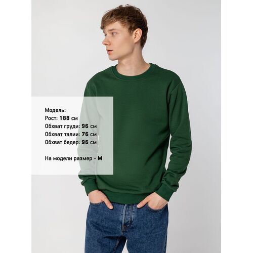 AL-1_16217.900