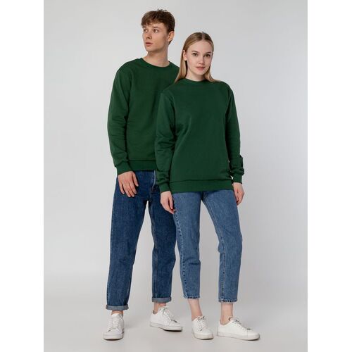 AL-1_16217.900
