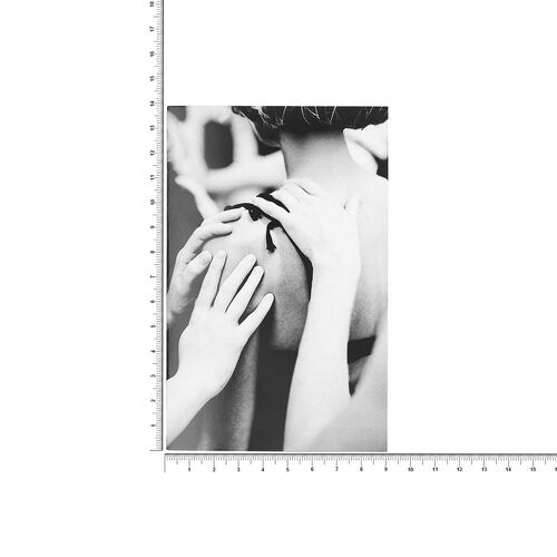 AL-1_18264.01