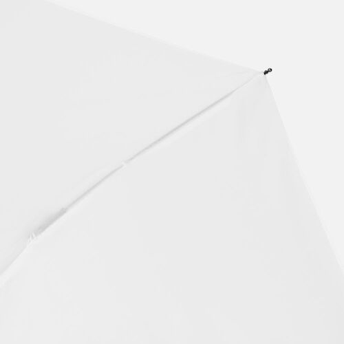 AL-1_21805.60