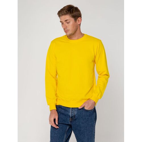 AL-1_6896.800