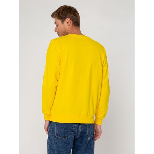AL-1_6896.800