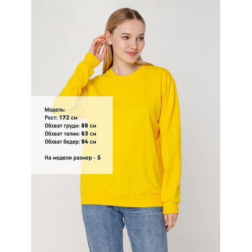 AL-1_6896.800