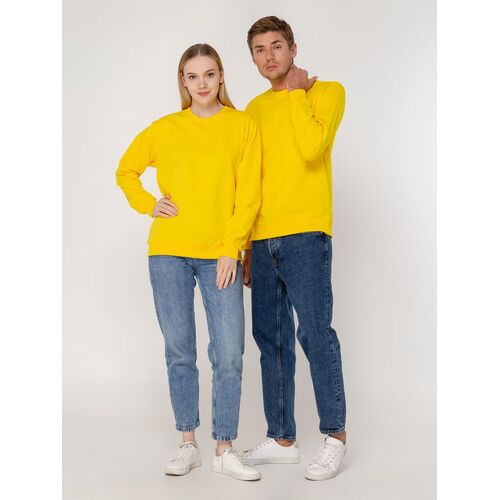 AL-1_6896.800
