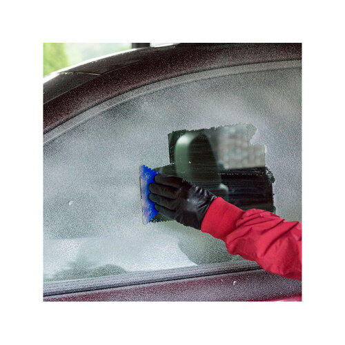 AL-2_10425253