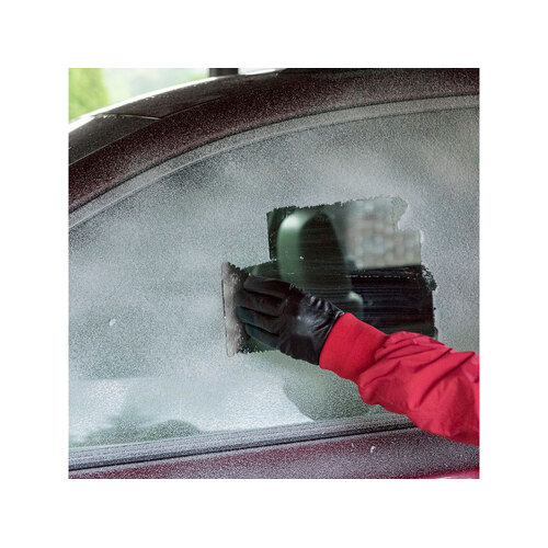 AL-2_10425290