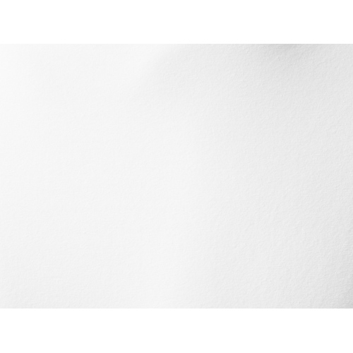 AL-2_31045013XL