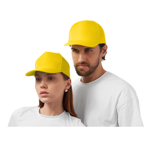 AL-2_33385304