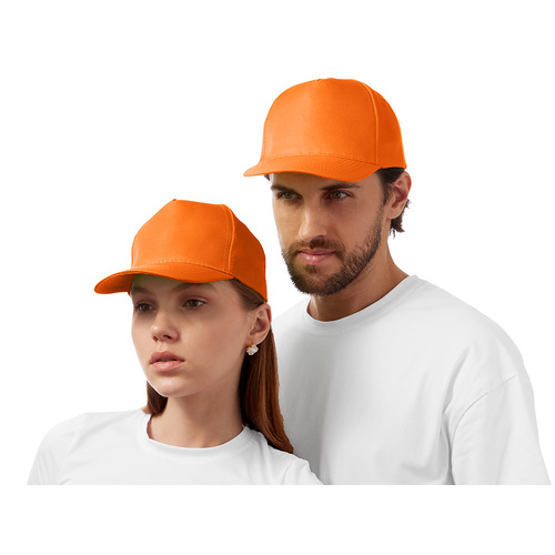 AL-2_33385307