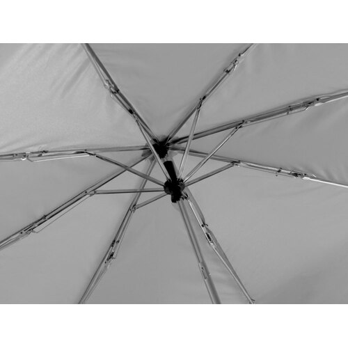 AL-2_920017p