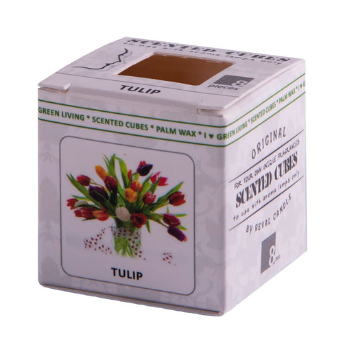 AL-3_32601/tulip