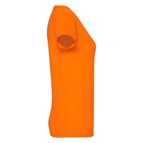 AL-3_614200.44/xs